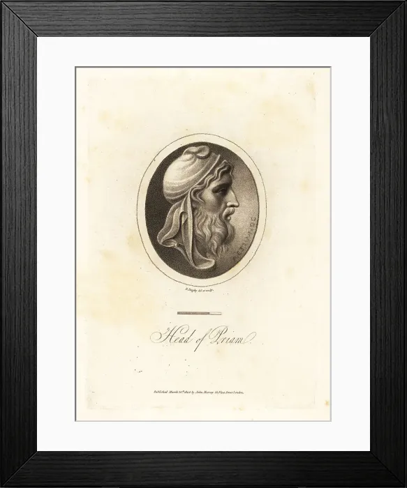 Framed Print : Profile bust of King Priam of Troy Framed Print : Profile bust of King Priam of Troy