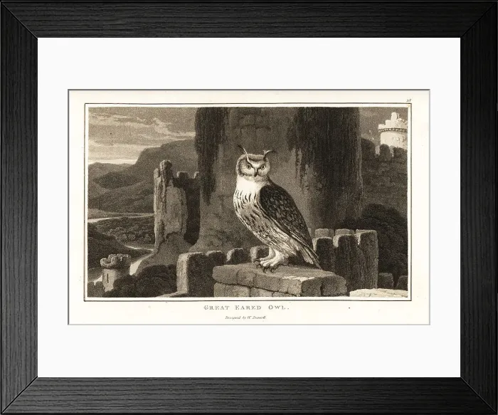 Framed Print : Eurasian eagle-owl perched on top of a Gothic castle Framed Print : Eurasian eagle-owl perched on top of a Gothic castle