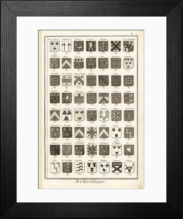 Framed Print : Examples of heraldic terms describing a coat of arms Framed Print : Examples of heraldic terms describing a coat of arms