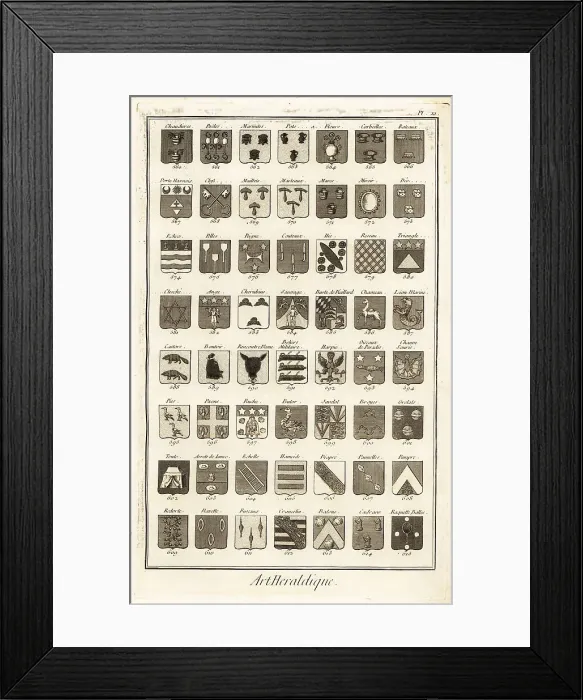 Framed Print : Examples of heraldic terms describing a coat of arms Framed Print : Examples of heraldic terms describing a coat of arms