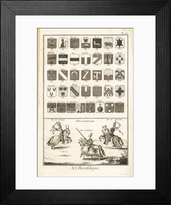 Framed Print : Examples of heraldic terms describing a coat of arms Framed Print : Examples of heraldic terms describing a coat of arms