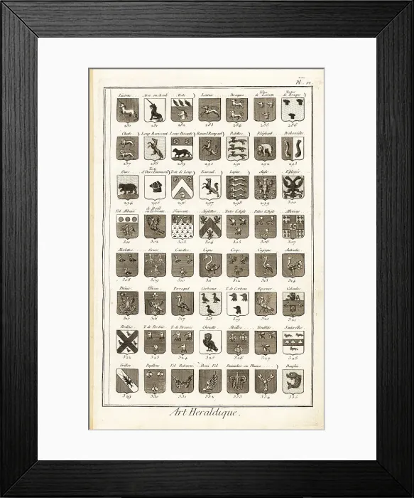 Framed Print : Examples of heraldic terms describing a coat of arms Framed Print : Examples of heraldic terms describing a coat of arms
