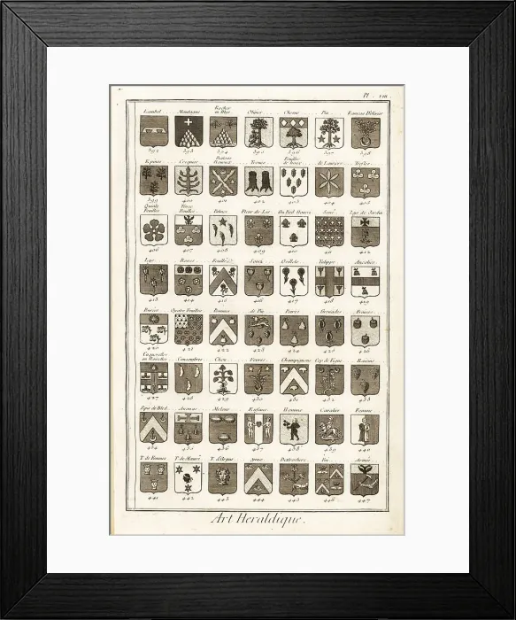 Framed Print : Examples of heraldic terms describing a coat of arms Framed Print : Examples of heraldic terms describing a coat of arms