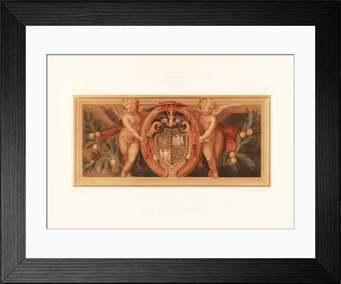 Framed Print : Heraldic wall panel from the Villa d'Este, Tivoli, 16th cenutr Framed Print : Heraldic wall panel from the Villa d'Este, Tivoli, 16th cenutr