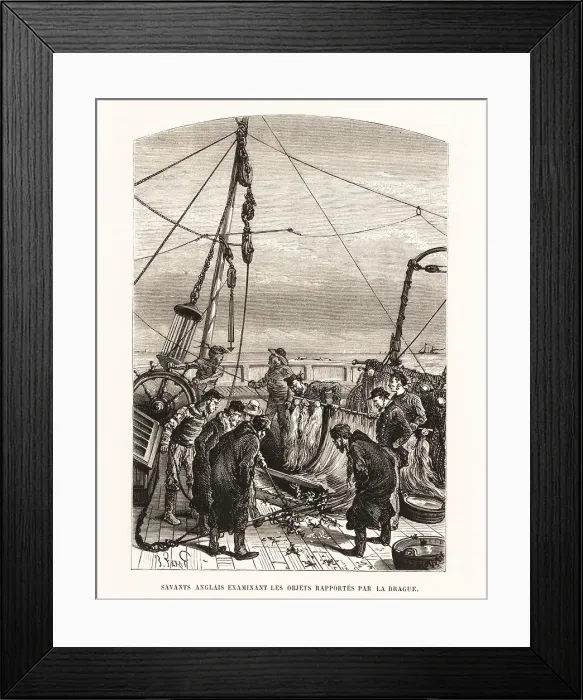 Framed Print : English sailors examining objects dredged from the sea Framed Print : English sailors examining objects dredged from the sea