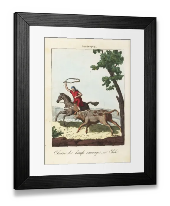 Framed Print : Huaso (cowboy) hunting wild cattle in Chile, 18th century Framed Print : Huaso (cowboy) hunting wild cattle in Chile, 18th century