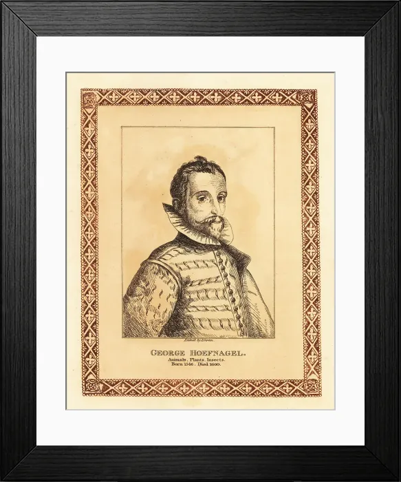 Framed Print : Portrait of Joris Hoefnagel, Flemish painter, printmaker and min Framed Print : Portrait of Joris Hoefnagel, Flemish painter, printmaker and min