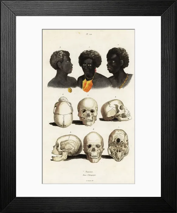 Framed Print : Heads and skulls of Ethiopian, Papuan and Australian Aborigine Framed Print : Heads and skulls of Ethiopian, Papuan and Australian Aborigine