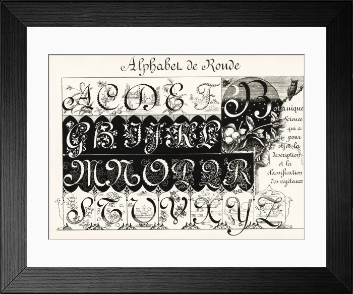 Framed Print : Initial letters in the Ronde (Round) script decorated with garla Framed Print : Initial letters in the Ronde (Round) script decorated with garla