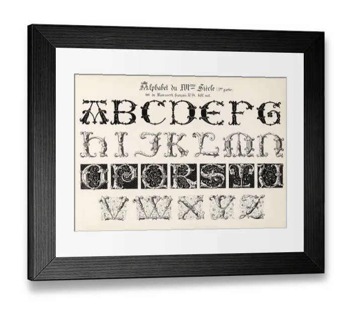 Framed Print : Alphabet of initial letters from a French manuscript, 16th centu Framed Print : Alphabet of initial letters from a French manuscript, 16th centu