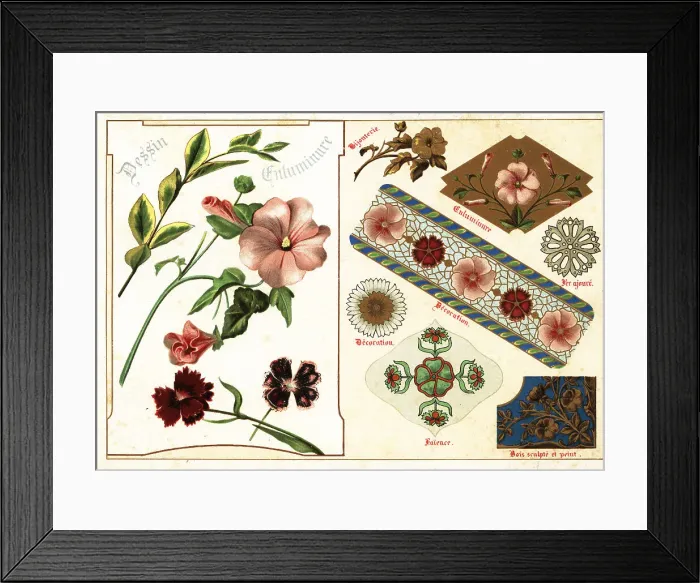 Framed Print : Image of mallow and China pink from an illuminated manuscript an Framed Print : Image of mallow and China pink from an illuminated manuscript an