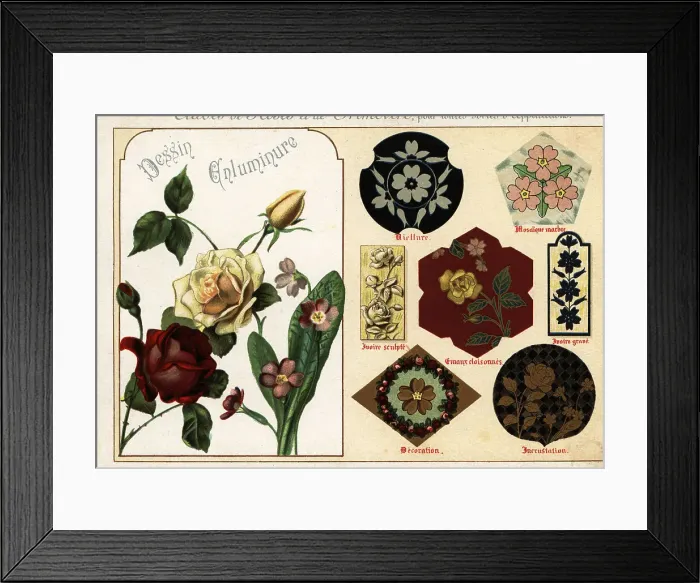Framed Print : Images of roses and primula from manuscripts and their applicati Framed Print : Images of roses and primula from manuscripts and their applicati