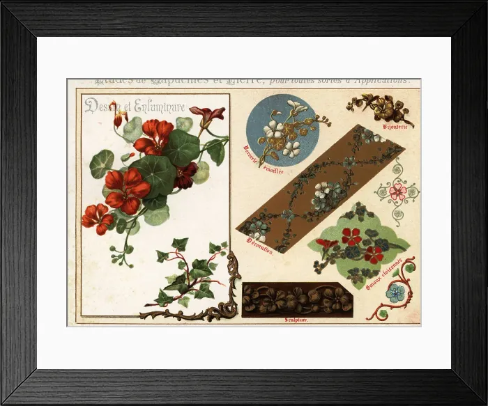 Framed Print : Images of nasturtium and ivy from manuscripts and their applicat Framed Print : Images of nasturtium and ivy from manuscripts and their applicat