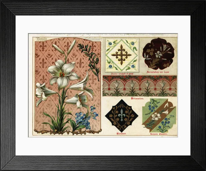 Framed Print : Images of lily, forget-me-not and olive from manuscripts Framed Print : Images of lily, forget-me-not and olive from manuscripts