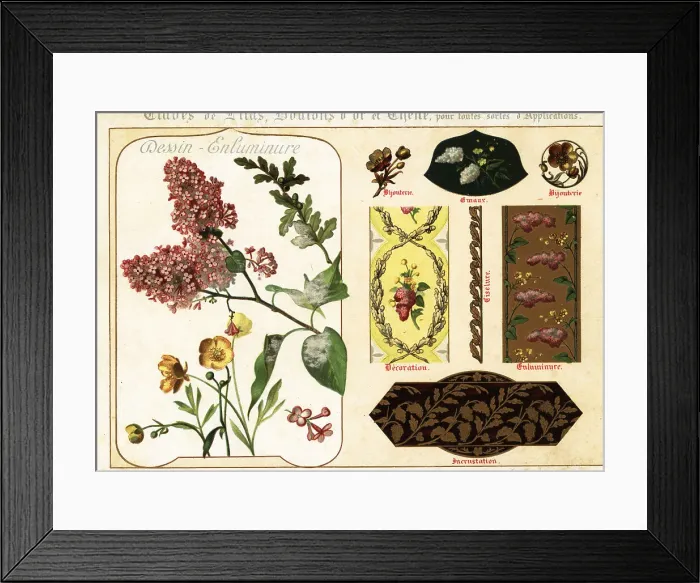 Framed Print : Images of lilac, buttercup and oak from manuscripts and their ap Framed Print : Images of lilac, buttercup and oak from manuscripts and their ap