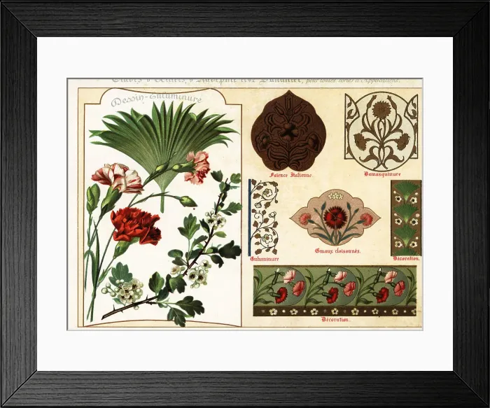 Framed Print : Images of carnations, hawthorn and palm leaves from manuscripts Framed Print : Images of carnations, hawthorn and palm leaves from manuscripts