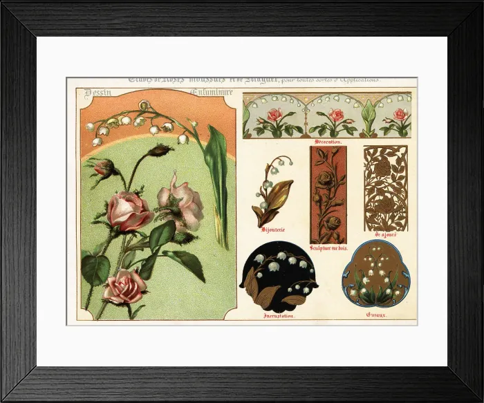 Framed Print : Images of moss rose and lily of the valley from manuscripts Framed Print : Images of moss rose and lily of the valley from manuscripts
