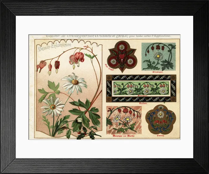 Framed Print : Images of oxeye daisies, bleeding hearts and holly from manuscri Framed Print : Images of oxeye daisies, bleeding hearts and holly from manuscri