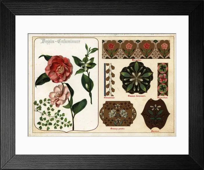 Framed Print : Images of camellias and orange flowers from manuscripts and thei Framed Print : Images of camellias and orange flowers from manuscripts and thei