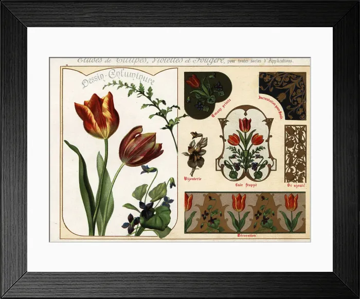 Framed Print : Images of tulips, violets and ferns from manuscripts and their a Framed Print : Images of tulips, violets and ferns from manuscripts and their a