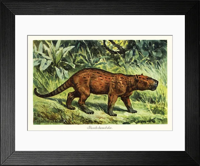 Framed Print : Pantolambda, extinct genus of pantodont mammal Framed Print : Pantolambda, extinct genus of pantodont mammal