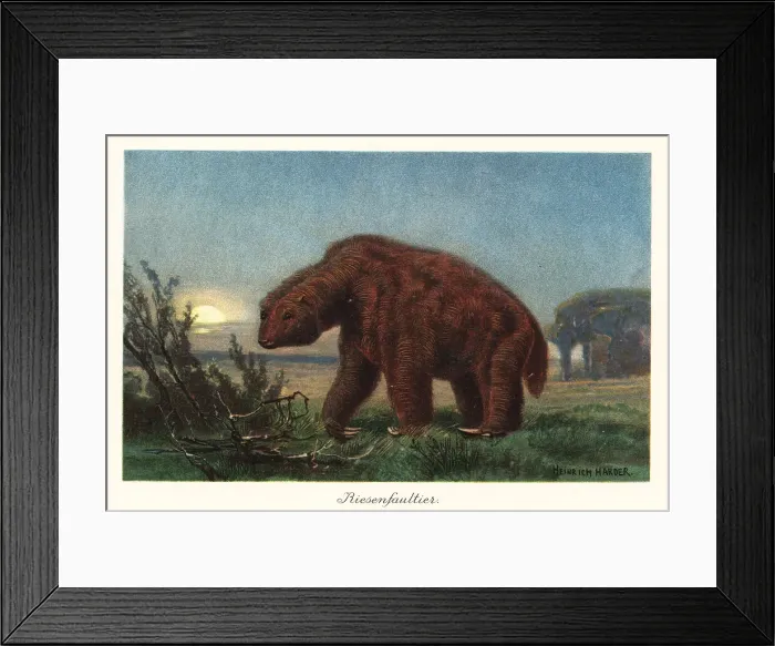 Framed Print : Megatherium americanum in the moonlight Framed Print : Megatherium americanum in the moonlight