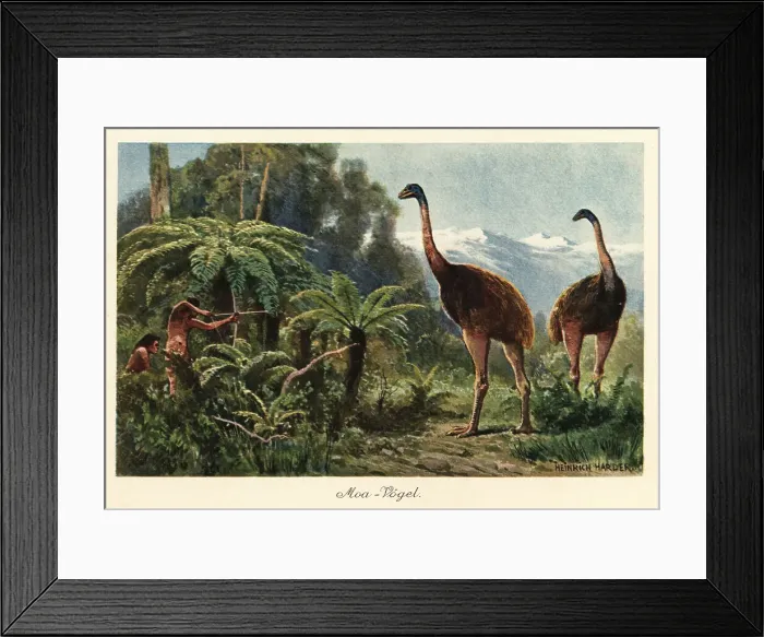 Framed Print : Moa birds being hunted by men with bows and arrows Framed Print : Moa birds being hunted by men with bows and arrows