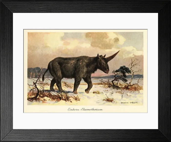 Framed Print : Siberian unicorn, Elasmotherium sibiricum, on a snowy plain Framed Print : Siberian unicorn, Elasmotherium sibiricum, on a snowy plain