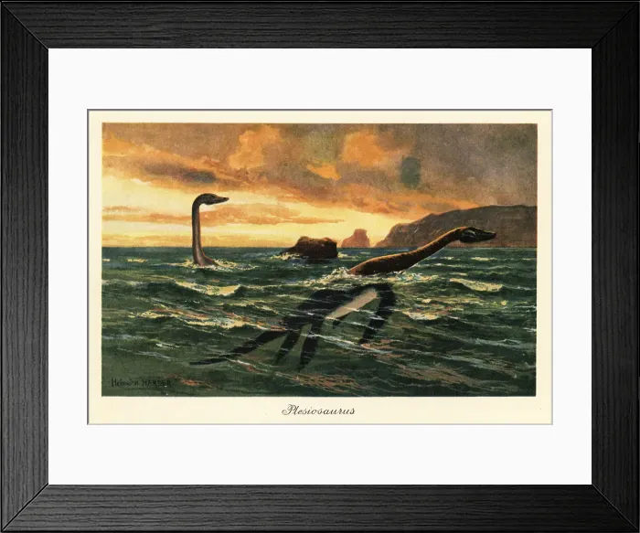 Framed Print : Plesiosaurus dolichodeirus in the ocean Framed Print : Plesiosaurus dolichodeirus in the ocean