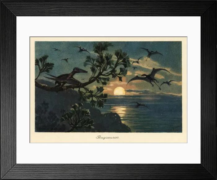 Framed Print : Rhamphorhynchus pterosaurs flying in the moonlight Framed Print : Rhamphorhynchus pterosaurs flying in the moonlight