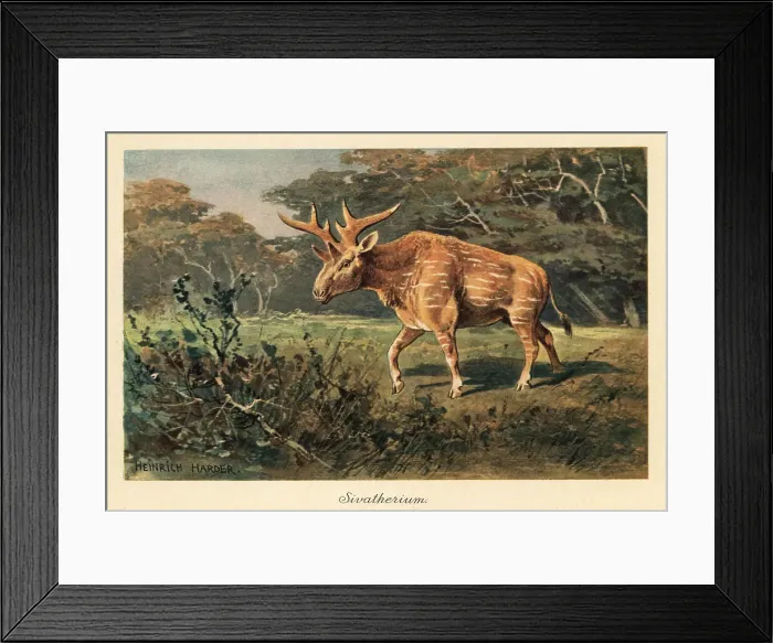 Framed Print : Sivatherium giganteum in a jungle clearing Framed Print : Sivatherium giganteum in a jungle clearing