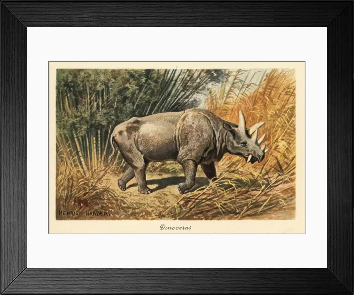 Framed Print : Uintatherium anceps in a jungle clearing Framed Print : Uintatherium anceps in a jungle clearing