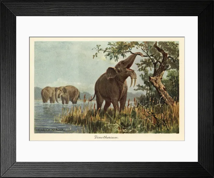 Framed Print : Deinotherium giganteum pulling down high foliage with its trunk Framed Print : Deinotherium giganteum pulling down high foliage with its trunk