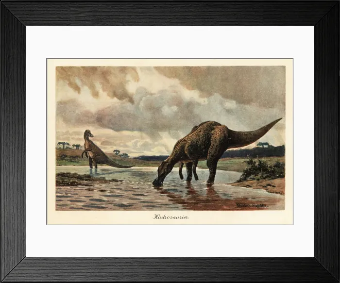 Framed Print : Hadrosaurs or duck-billed dinosaurs feeding in a river Framed Print : Hadrosaurs or duck-billed dinosaurs feeding in a river