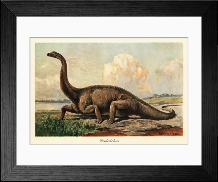 Framed Print : Extinct Diplodocus longus on the plains Framed Print : Extinct Diplodocus longus on the plains