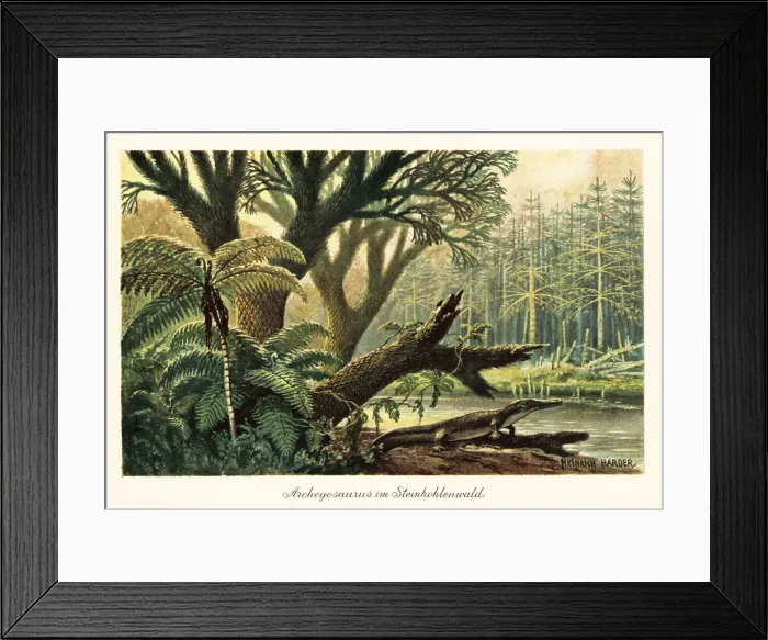 Framed Print : Archegosaurus decheni by a river in a primordial jungle Framed Print : Archegosaurus decheni by a river in a primordial jungle