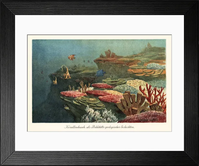 Framed Print : Ancient coral reefs on the ocean floor Framed Print : Ancient coral reefs on the ocean floor