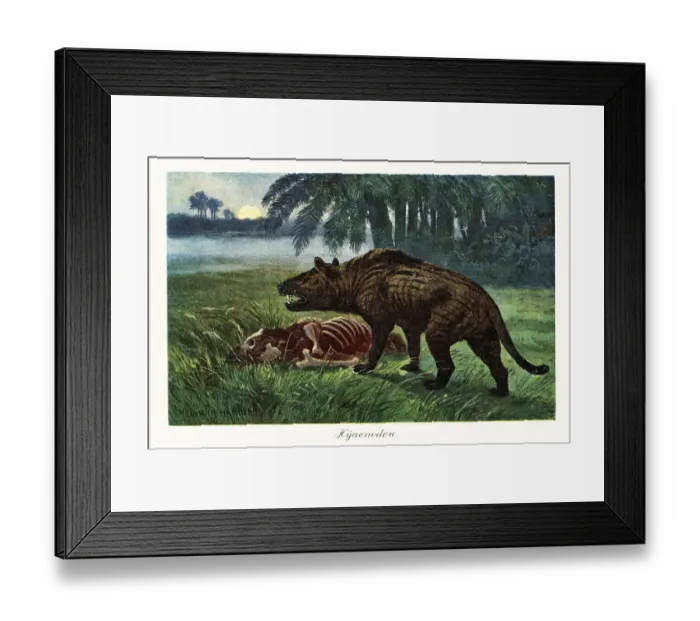 Framed Print : Hyaenodon, extinct genus of carnivorous mammals Framed Print : Hyaenodon, extinct genus of carnivorous mammals