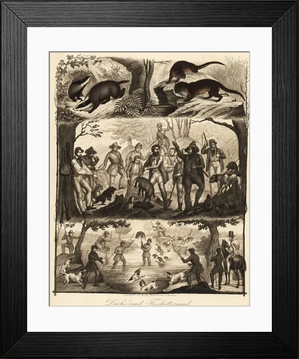 Framed Print : European hunting parties for badger and otter, 19th century Framed Print : European hunting parties for badger and otter, 19th century