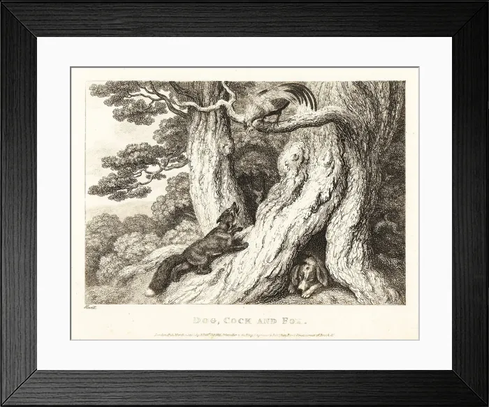 Framed Print : A cock in a tree outwits a fox, while a dog sleeps Framed Print : A cock in a tree outwits a fox, while a dog sleeps