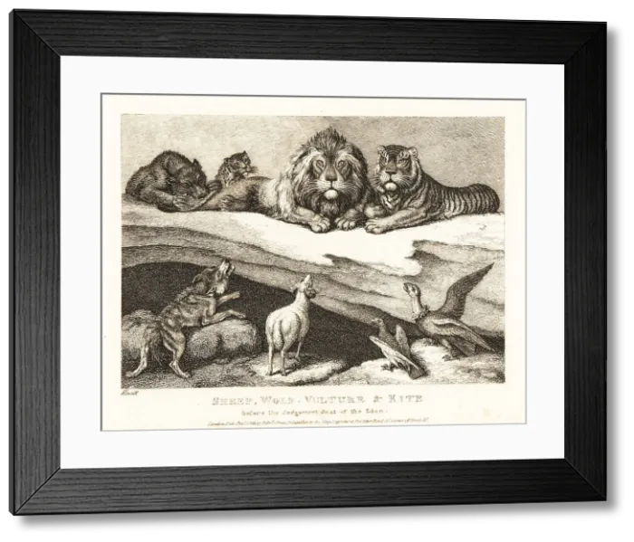 Framed Print : A courtcase between animals, with lion and tiger as judges Framed Print : A courtcase between animals, with lion and tiger as judges