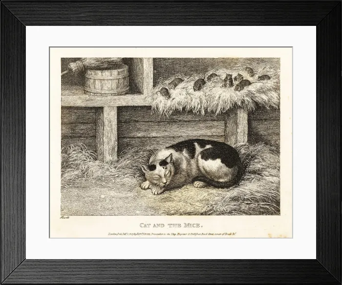 Framed Print : Wary mice above a cat pretending to sleep Framed Print : Wary mice above a cat pretending to sleep