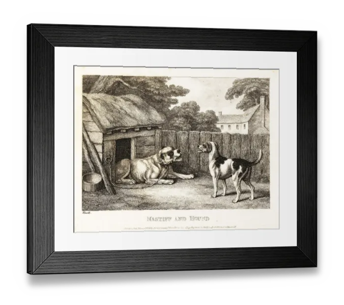 Framed Print : A fox hound berating a mastiff chained to a kennel Framed Print : A fox hound berating a mastiff chained to a kennel