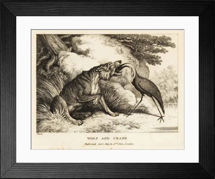 Framed Print : A crane puts its head into a wolf's mouth Framed Print : A crane puts its head into a wolf's mouth