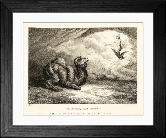 Framed Print : A camel begging Jupiter for horns