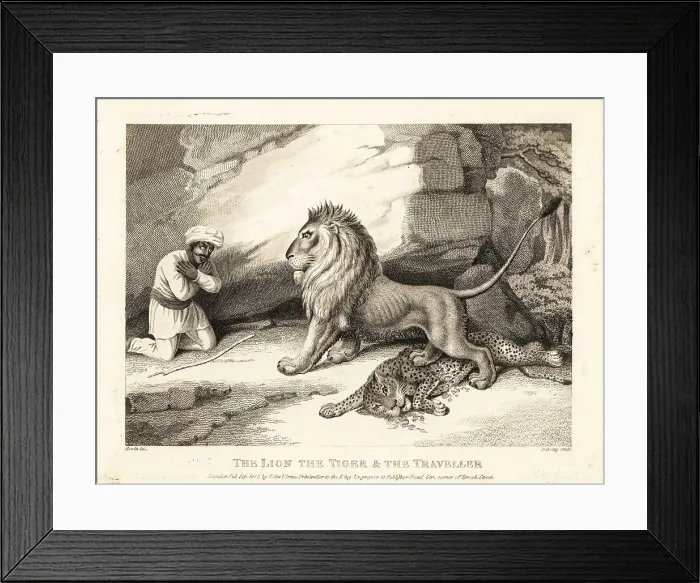 Framed Print : A traveller in turban begs for his life from a lion Framed Print : A traveller in turban begs for his life from a lion
