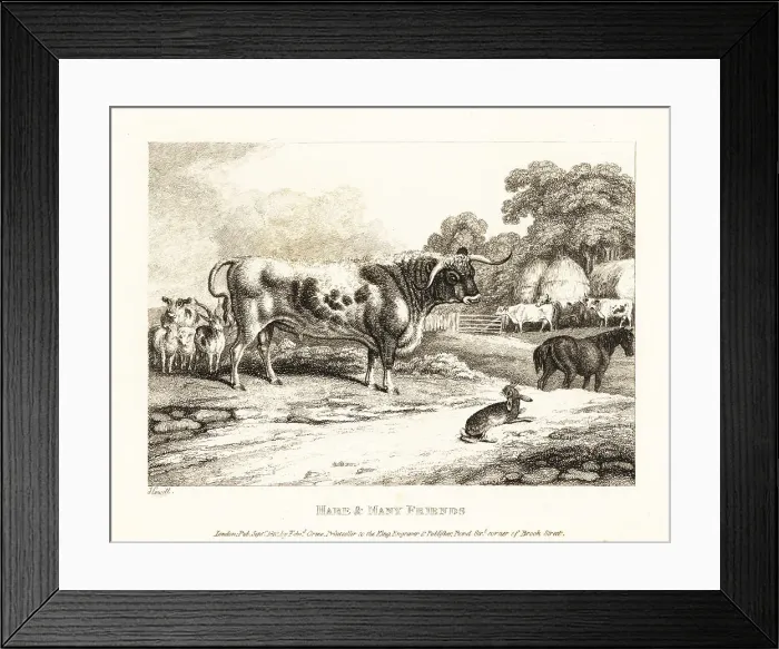 Framed Print : A hunted hare is betrayed by farmyard animals Framed Print : A hunted hare is betrayed by farmyard animals