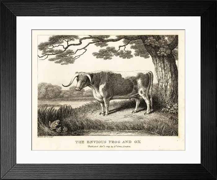 Framed Print : A frog inflates itself to become a big as a cow Framed Print : A frog inflates itself to become a big as a cow