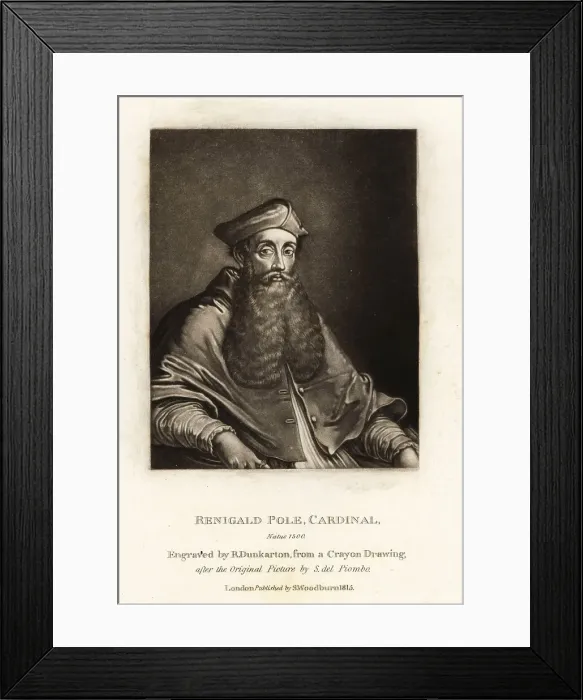 Framed Print : Reginald Pole, English cardinal of the Roman Catholic Church Framed Print : Reginald Pole, English cardinal of the Roman Catholic Church