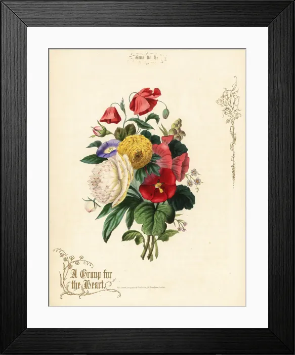 Framed Print : Bouquet of poppies, ranunculus, morning glory, hollyhock Framed Print : Bouquet of poppies, ranunculus, morning glory, hollyhock